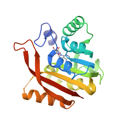 Rcsb Pdb Gdu Crystal Structure Of A Mutant Methyl Transferase From