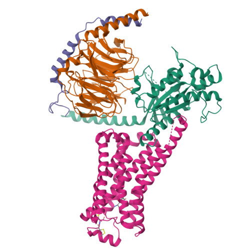 RCSB PDB - 8GDZ: CryoEM structure of beta-2-adrenergic receptor in 