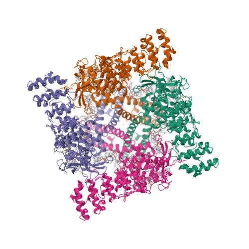 RCSB PDB - 8GF8: Cryo-EM structure of human TRPV1 in cNW11 nanodisc and ...