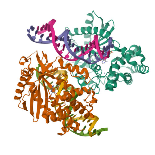 RCSB PDB - 8GIN: Structure of Ternary Complex of mouse cGAS with dsDNA ...