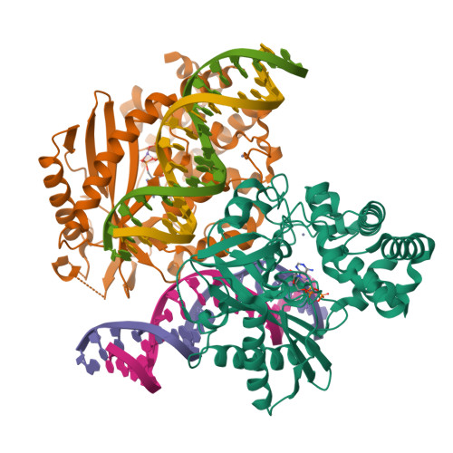 RCSB PDB - 8GIT: Structure of Ternary Complex of mouse cGAS with dsDNA ...