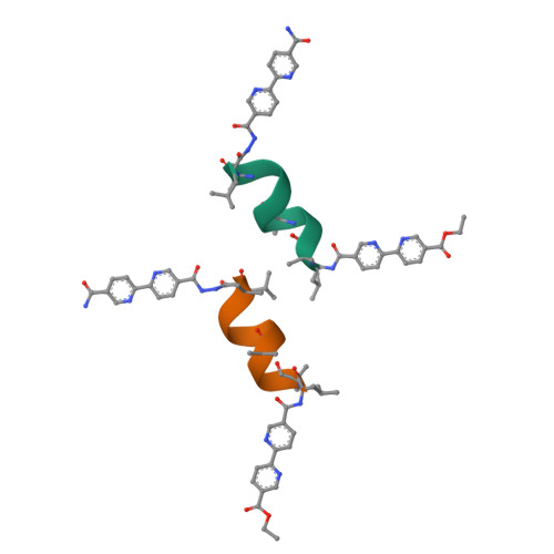 Rcsb Pdb 8gkx Porous Framework Formed By Assembly Of A Bipyridyl Conjugated Helical Peptide 5640