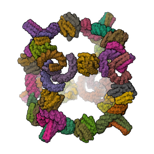 RCSB PDB - 8GLT: Backbone model of de novo-designed chlorophyll-binding ...