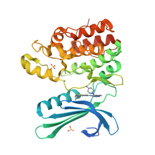 rcsb-pdb-8gmc-crystal-structure-of-ap2-associated-kinase-1-complexed