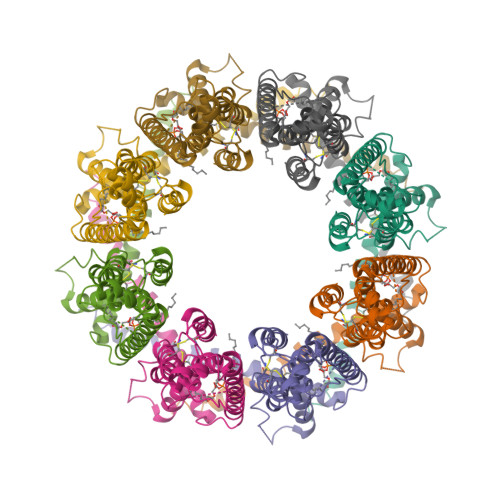 Calcium homeostasis modulator protein 1 structure