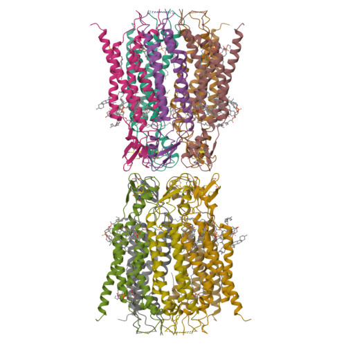 PDB 8GN7