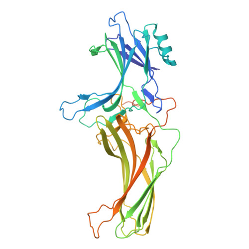 download cell structure