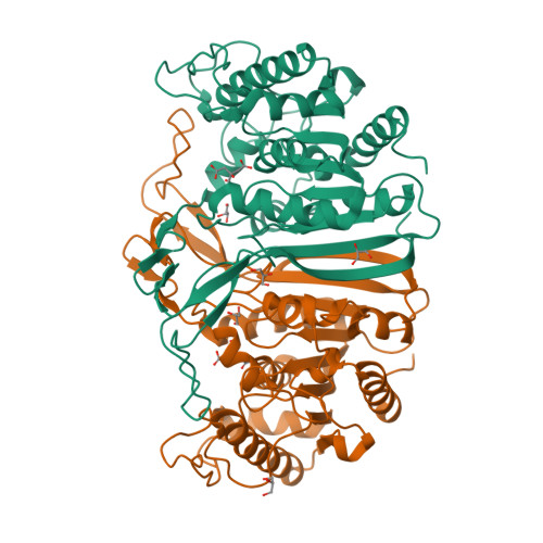 RCSB PDB - 8GP0: crystal structure of SulE