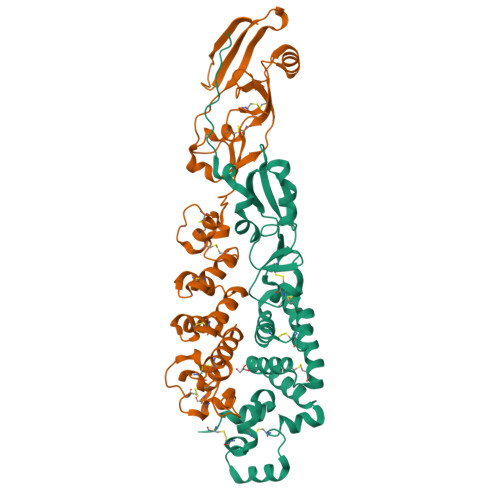 RCSB PDB - 8GP6: Structure of the vaccinia virus A16/G9 sub-complex ...