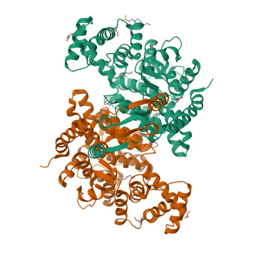 Citrate synthase, peroxisomal structure