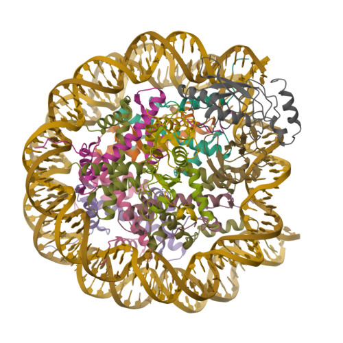 Rcsb Pdb 8grm Cryo Em Structure Of Prc1 Bound To H2ak119 Ubch5b Ub Nucleosome 9380