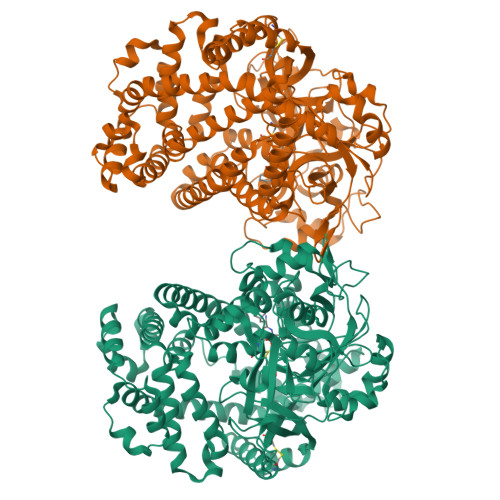 Rcsb Pdb 8grt Small Dipeptide Analogues Developed By Co Crystal 8641