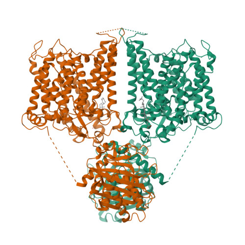 RCSB PDB - 8GVH: Human AE2 in acidic KNO3