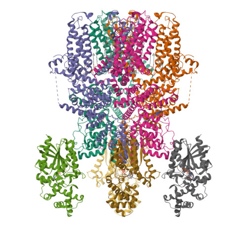 RCSB PDB - 8GVX: Cryo-EM Structure Of The Human TRPC5 Ion Channel In ...