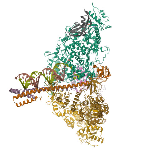 RCSB PDB - 8GWN: A Mechanism For SARS-CoV-2 RNA Capping And Its ...