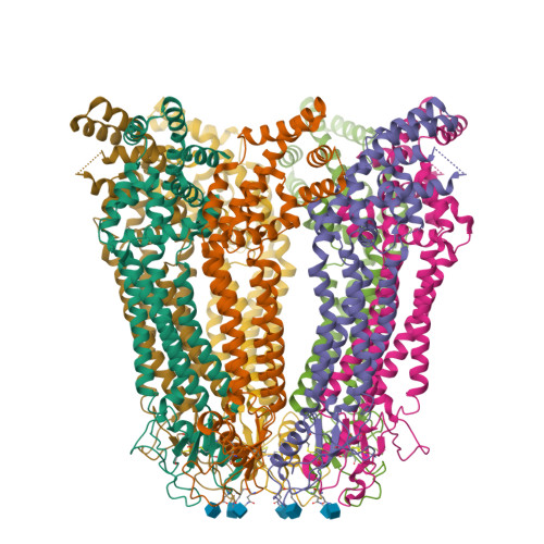 RCSB PDB - 8GYT: Cryo-EM structure of human Pannexin-3 R36S/F40R ...