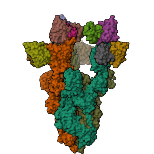 RCSB PDB - 8H08: SARS-CoV-2 BA.1 variants S ectodomain trimer in ...