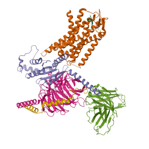 PDB 8H0P
