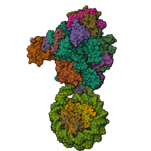 PDB 8H0V