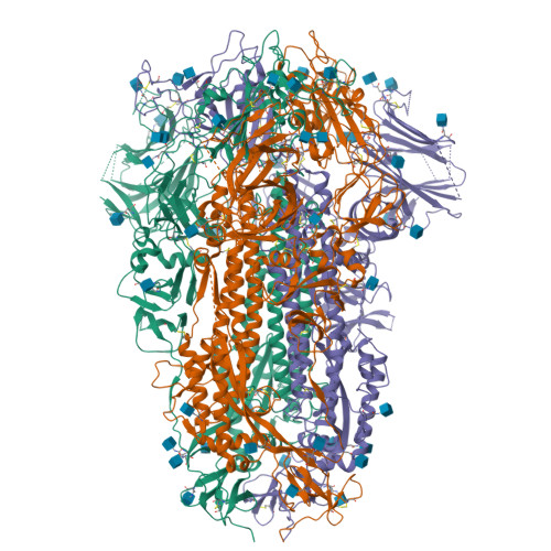 RCSB PDB - 8H12: Structure Of SARS-CoV-1 Spike Protein With Engineered ...