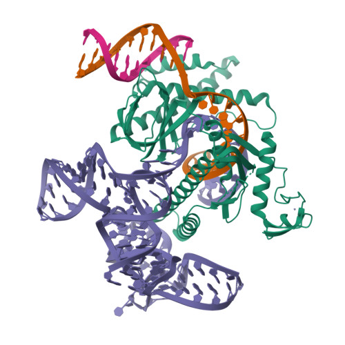 RCSB PDB - 8H1J: Cryo-EM Structure Of The TnpB-omegaRNA-target DNA ...