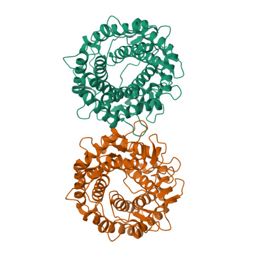 Rcsb Pdb H L Crystal Structure Of Glucose Epimerase In Complex