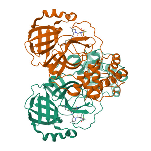 Rcsb Pdb 8h57 Crystal Structure Of Sars Cov 2 Main Protease Mpro A193p Mutant In Complex 5771