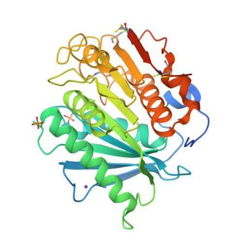 Petase Structure RCSB PDB - 8H5J: Crystal structure of PETase S121E/A180V/P181V/D186H ...
