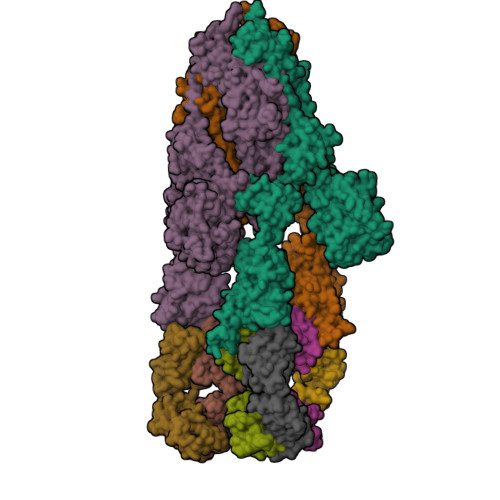 RCSB PDB - 8H7L: Cryo-EM Structure of SARS-CoV-2 BA.2 Spike protein in ...