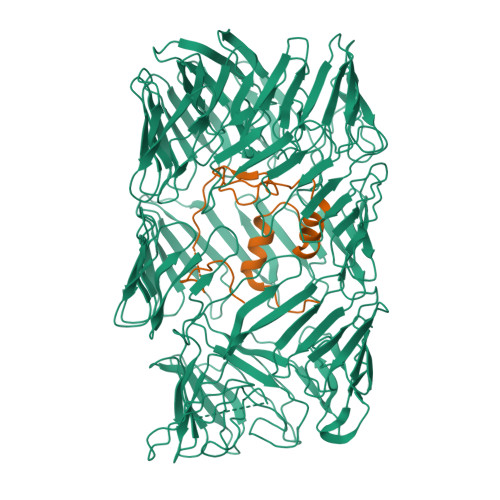 RCSB PDB - 8H8A: Type VI secretion system effector RhsP in its post ...