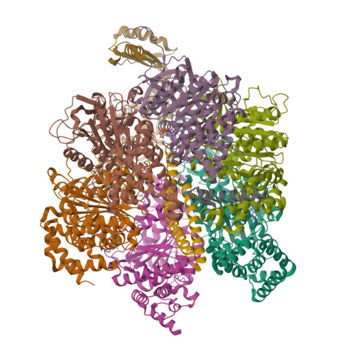 PDB 8H9E