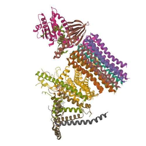 PDB 8H9F