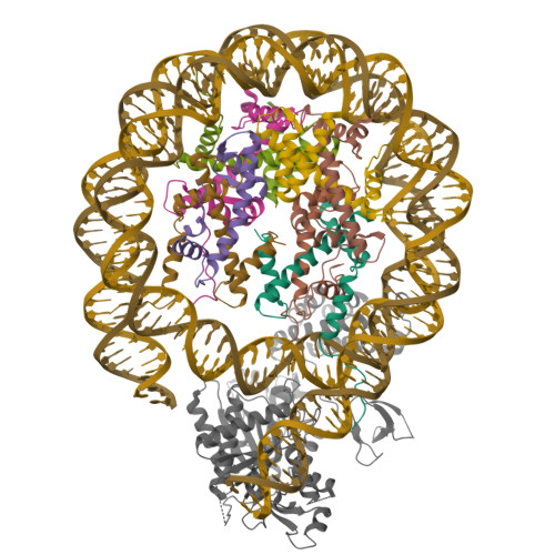 RCSB PDB - 8HAH: Cryo-EM structure of the p300 catalytic core bound to ...