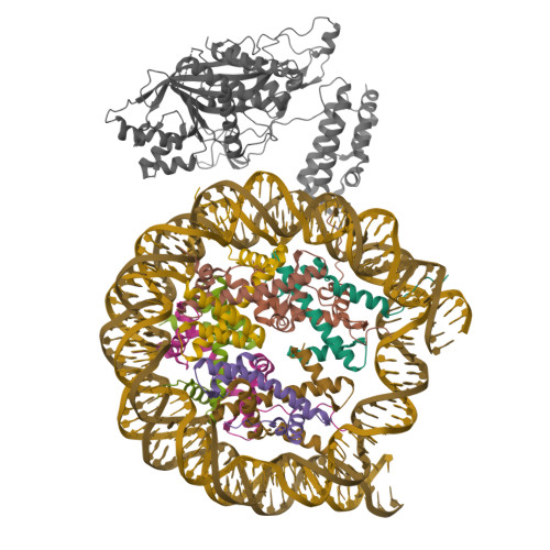 RCSB PDB - 8HAL: Cryo-EM Structure Of The CBP Catalytic Core Bound To ...