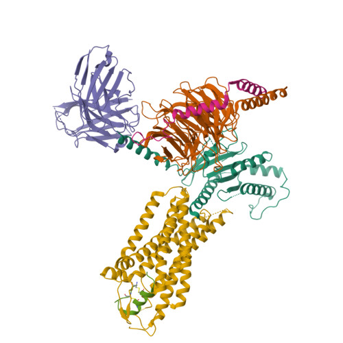 PDB 8HCQ