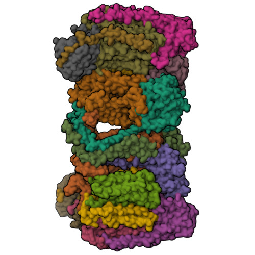 RCSB PDB - 8HCR: Cryo-EM Structure Of The Mycobacterium Tuberculosis ...