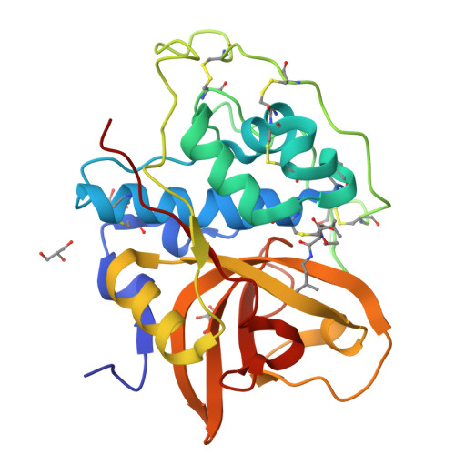 RCSB PDB - 8HEI: Crystal structure of CTSB in complex with E64d