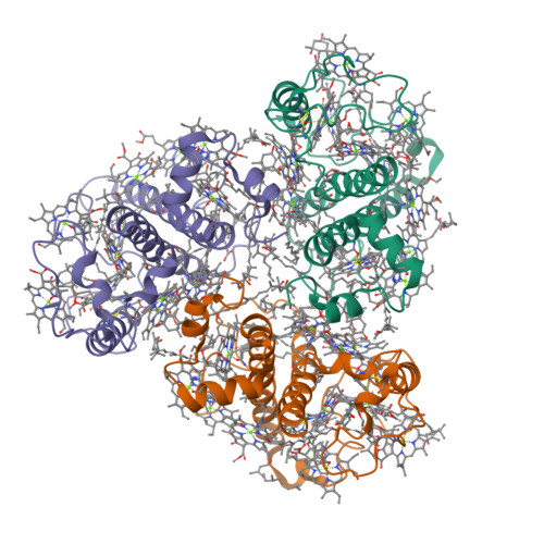 RCSB PDB 8HG3 Cryo EM Structure Of The Lhcp Complex From Ostreococcus Tauri