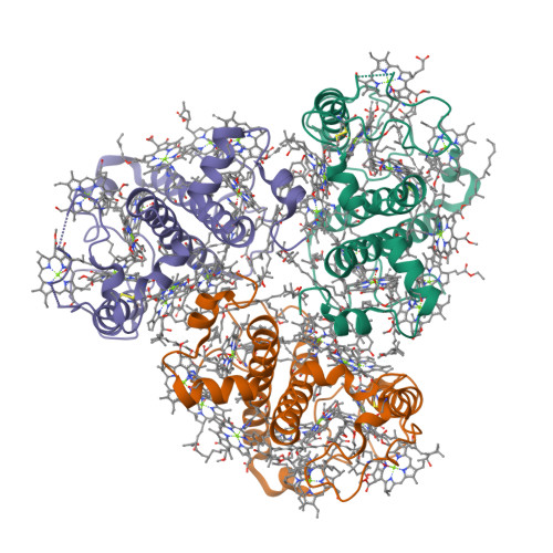 RCSB PDB - 8HG6: Cryo-EM structure of the prasinophyte