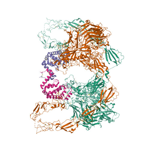 RCSB PDB - 8HGH: Structure of 2:2 PAPP-A.STC2 complex