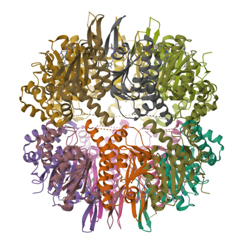 RCSB PDB - 8HGK: Crystal structure of human ClpP in complex with ZK53