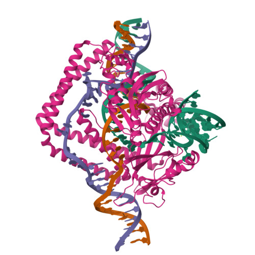 RCSB PDB - 8HHL: Cryo-EM Structure Of The Cas12m2-crRNA-target DNA Full ...