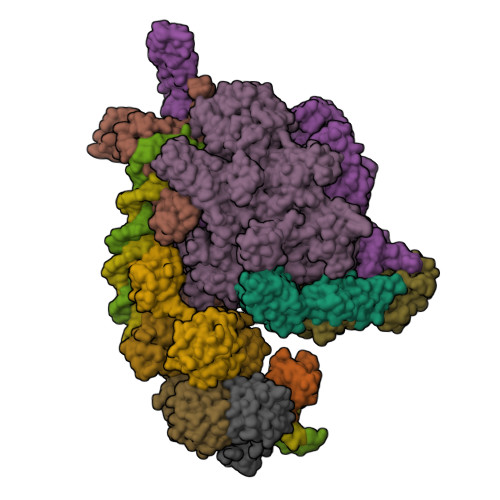 RCSB PDB - 8HIH: Cryo-EM structure of Mycobacterium tuberculosis ...