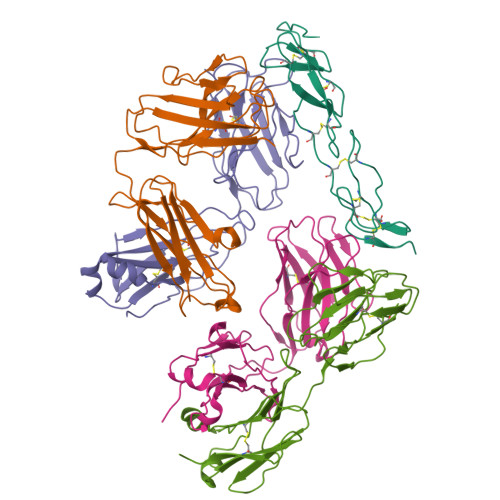 RCSB PDB - 8HLB: Cryo-EM structure of biparatopic antibody Bp109