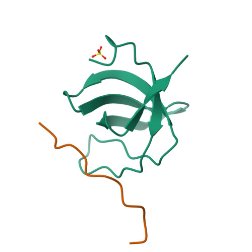 Prm Structure RCSB PDB - 8HLO: Crystal structure of ASAP1-SH3 and MICAL1-PRM complex