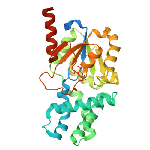 RCSB PDB - 8HP7: Crystal structure of (S)-2-haloacid dehalogenase K152A ...