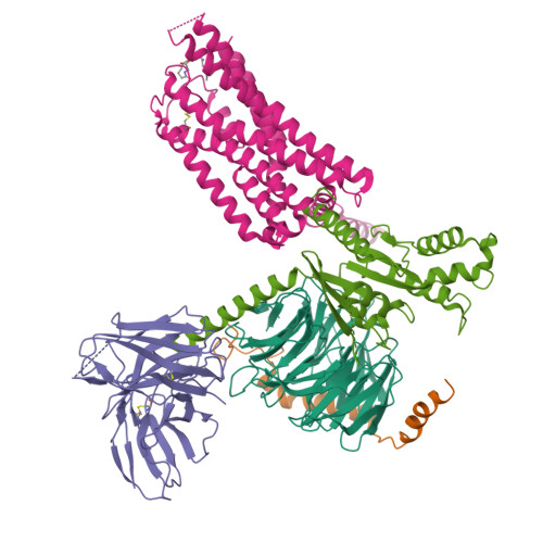 RCSB PDB - 8HQM: Activation mechanism of GPR132 by NPGLY