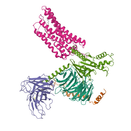 RCSB PDB - 8HQN: Activation mechanism of GPR132 by 9(S)-HODE