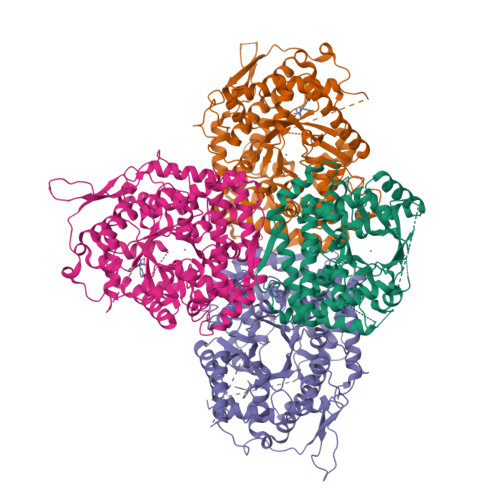 RCSB PDB - 8HUB: AMP Deaminase 2 In Complex With An Inhibitor