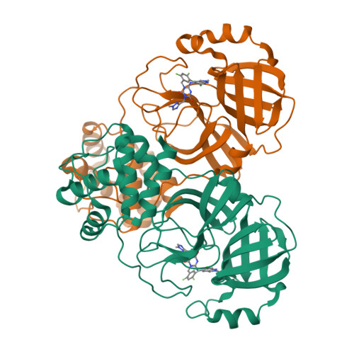 RCSB PDB - 8HUR: Crystal structure of SARS-Cov-2 main protease in ...